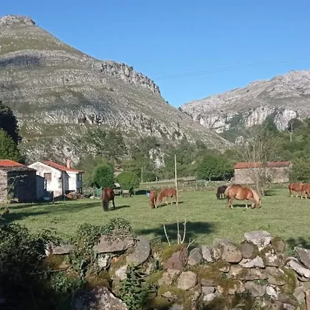 Amplia Y Comoda Casa De Piedra Con Porche Y Jardin Holiday home
