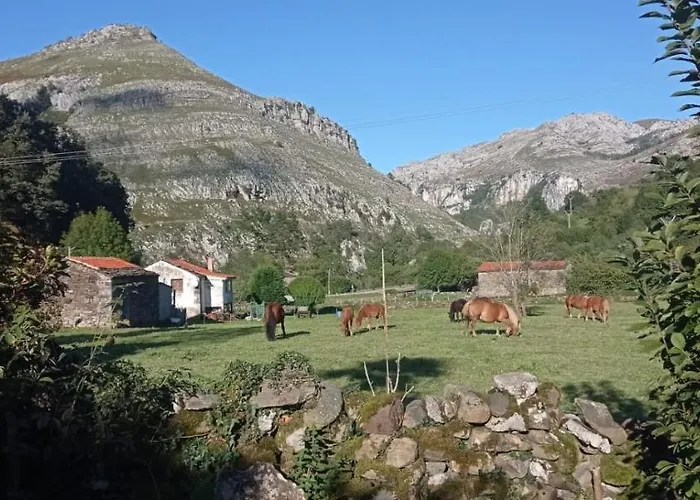 Amplia Y Comoda Casa De Piedra Con Porche Y Jardin Hébergement de vacances
